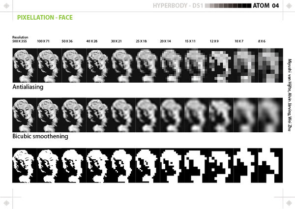 20111121 project e - pixelation study - face.jpg