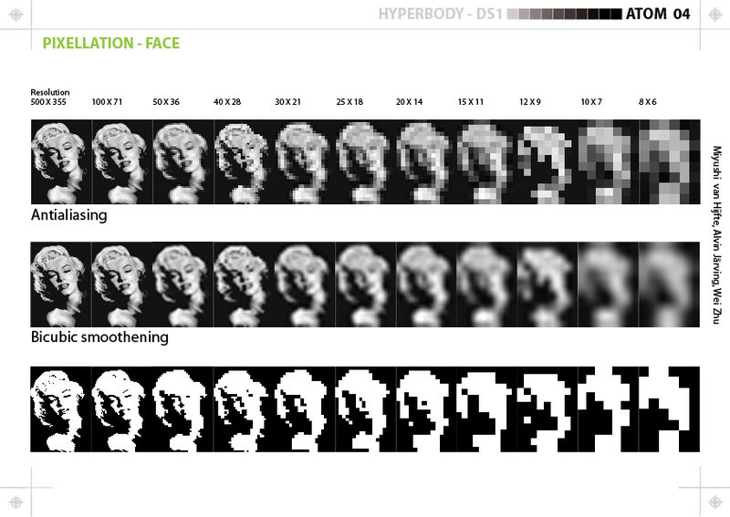 File:20111121 project e - pixelation study - face.jpg